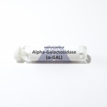Alpha-Galactosidase (α-GAL)